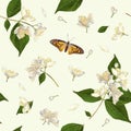 Jasmine seamless pattern