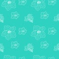 Jasmine seamless pattern, vector illustration, hand drawn sketch, blue color