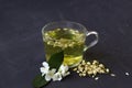 Jasmine tea. Cup of hot herbal tea with jasmine fresh flowers on a black table. Royalty Free Stock Photo