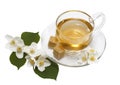 Jasmine tea in glass Cup and Jasmine flowers on white isolated background. Royalty Free Stock Photo