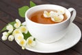 Jasmine tea with jasmine flowers on wooden table background. Cup of hot green tea with jasmine flavor, fresh jasmine flowers. Royalty Free Stock Photo