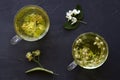 Jasmine tea and linden flowers tea.Cups of hot herbal tea with jasmine fresh flowers and linden Royalty Free Stock Photo