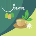 Jasmine tea organic drink vector