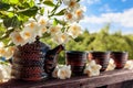 Jasmine tea in small ceramic cups on old wooden table in garden .Branch of flowering Jasmine, sunny summer day Royalty Free Stock Photo