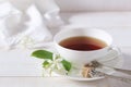 Jasmine tea in a white bone china cup Royalty Free Stock Photo