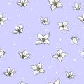 Jasmine white flowers on violet background. Vector handwork illustration. Drawing of blooming white jasmine. Seamless pattern