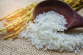 Jasmine white rice with gold grain