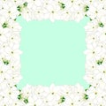 Jasminum sambac - Arabian jasmine Border on Green Mint Background. Vector Illustration