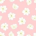 Jasminum sambac - Arabian Jasmine on Light Pink Background. Vector Illustration