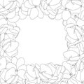 Jasminum sambac - Arabian Jasmine Outline Border. Vector Illustration