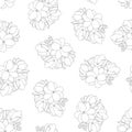 Jasminum sambac - Arabian Jasmine Outline Seamless Background. Vector Illustration