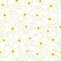 Jasminum sambac - Arabian Jasmine Seamless Background. Vector Illustration