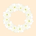 Jasminum sambac - Arabian Jasmine Wreath. Vector Illustration