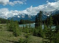 Jasper National Park, Alberta, Canada. Royalty Free Stock Photo