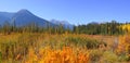 Jasper national park in autumn time