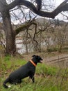 Jasper overlooking Umpqua River and the train tracks