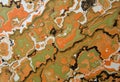 Jasper Patterns A close examination of jasper\'s opaque dense pat
