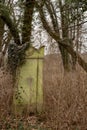 Jastrowie, zachodniopomorskie / Poland - March, 21, 2019: The Old Jewish Cemetery. Neglected tombstones in a forgotten cemetery