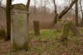 Jastrowie, zachodniopomorskie / Poland - March, 21, 2019: The Old Jewish Cemetery. Neglected tombstones in a forgotten cemetery