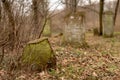 Jastrowie, zachodniopomorskie / Poland - March, 21, 2019: The Old Jewish Cemetery. Neglected tombstones in a forgotten cemetery