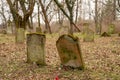 Jastrowie, zachodniopomorskie / Poland - March, 21, 2019: The Old Jewish Cemetery. Neglected tombstones in a forgotten cemetery