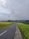 Jatiluwih, 25 June 2023 : Road in Rice field in Bali, Indonesia. Royalty Free Stock Photo