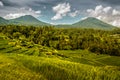 Jatiluwih Rice Field at Bali