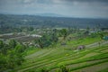 Jatiluwih Rice Fields, Bali, Indonesia Royalty Free Stock Photo