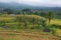 Jatiluwih rice fields in Indonesia Royalty Free Stock Photo