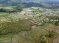 Jatiluwih Rice Terrace in Tabanan Regency, Bali, Indonesia Royalty Free Stock Photo