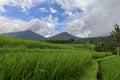 Jatiluwih Rice Terraces, Bali, Indonesia. Beautiful highland lan Royalty Free Stock Photo