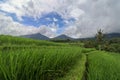 Jatiluwih Rice Terraces, Bali, Indonesia. Beautiful highland lan Royalty Free Stock Photo