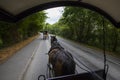 Jaunty Ride in Killarney