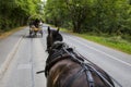 Jaunty Ride in Killarney