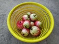 Group of Mountain-Apple Fruits (Syzygium Malaccense) Royalty Free Stock Photo