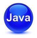 Java glassy blue round button