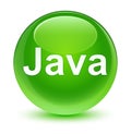 Java glassy green round button