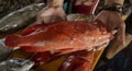 Java, Indonesia, June 13, 2022 - Large red snapper fish being held by vendor in fish market Royalty Free Stock Photo