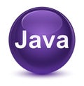 Java glassy purple round button