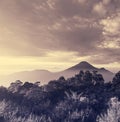 Java landscapes Royalty Free Stock Photo