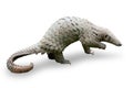 Java Pangolin manis javanica Royalty Free Stock Photo