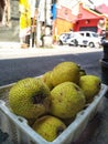 Java Sukun Local Fruit Royalty Free Stock Photo