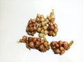 Javanese cardamom (Wurfbainia compacta) a spice plant with small seeds on a white background.