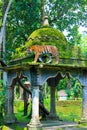 Javanese tiger in Jambatan Buaya