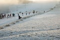 JAVORNIK, CZECH - 31 December 2016: Winter bobsled track in winter.