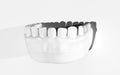 Jaw, cast of teeth, human teeth. Dentistry, periodontist. 3D-rendering