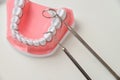 Jaw model and dental tool set Royalty Free Stock Photo