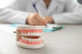 Jaw model on table in dentist's office Royalty Free Stock Photo