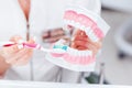 Jaw model and toothbrush in the hands of the dentist. The doctor shows how to properly brush your teeth Royalty Free Stock Photo