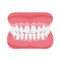 Jaw with teeth icon flat style. Open mouth, dentures. Dentistry, medicine concept. Isolated on white background. Vector